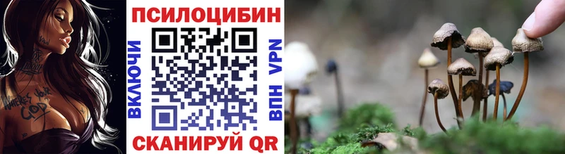 Галлюциногенные грибы мицелий как найти закладки Вяземский